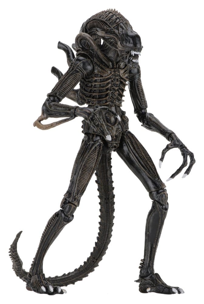 Aliens Ultimate Action Figure Warrior (1986) Brown 23 cm