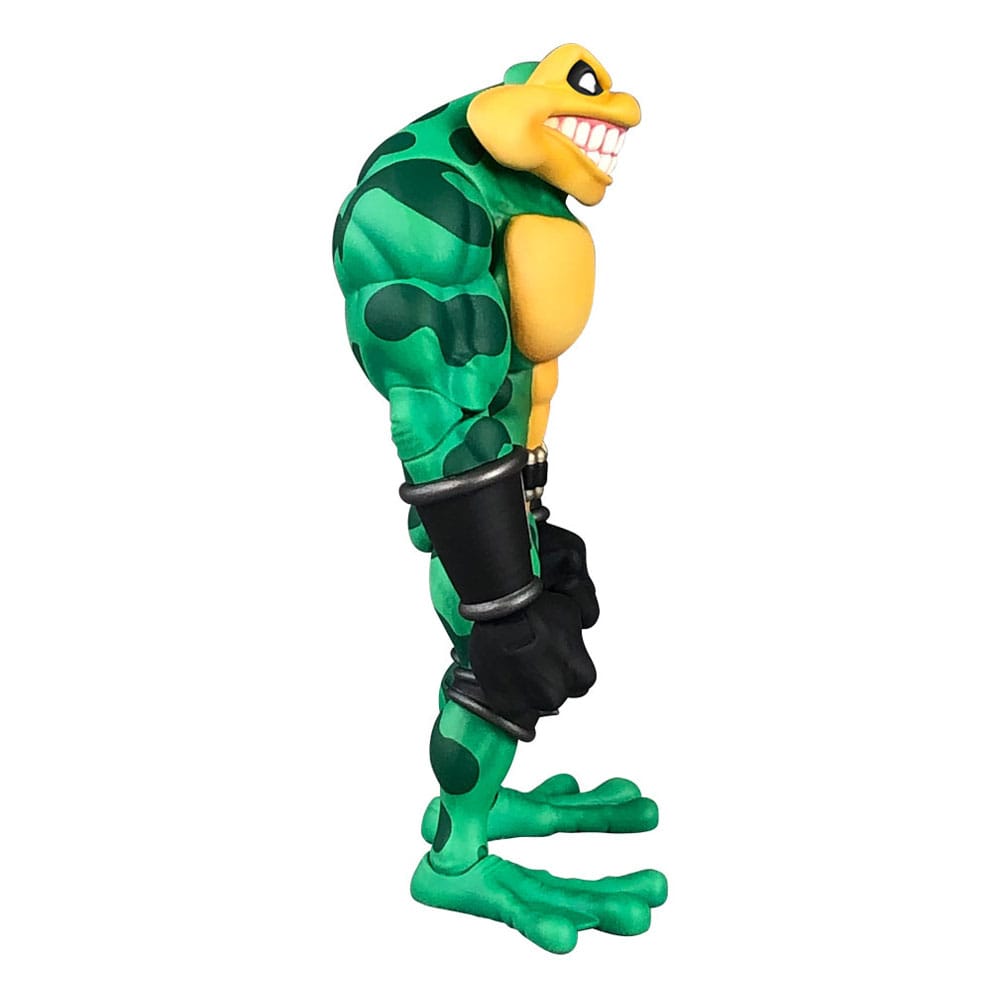 Battletoads Anthology Series Action Figure Wave 1: Zitz 15 cm