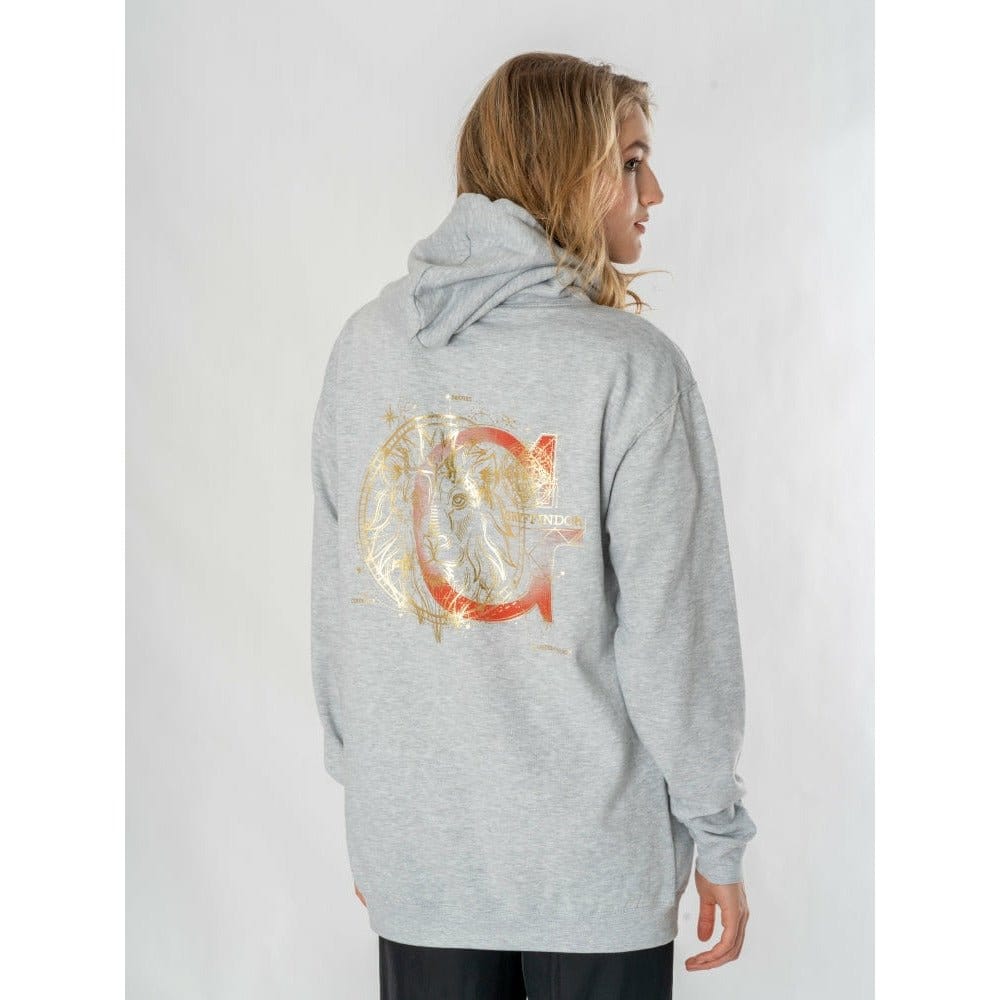 Harry Potter Hooded Sweater Gryffindor Zodiac Size S