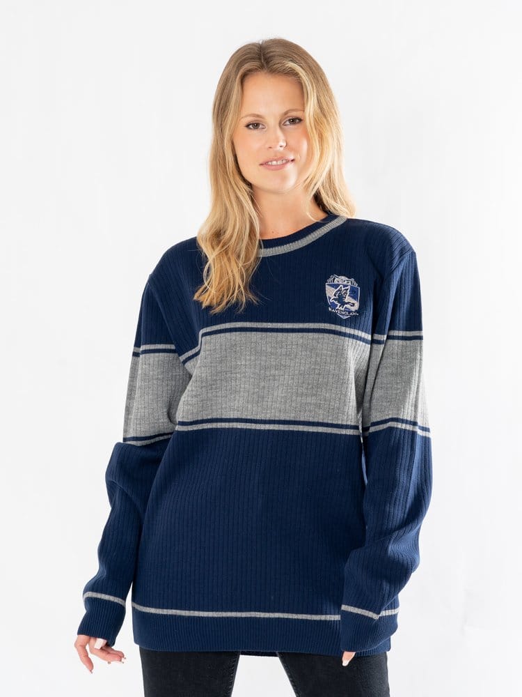 Harry Potter Sweater Ravenclaw Size XL