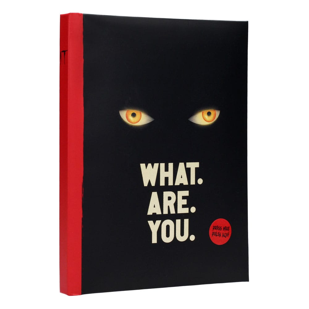It Notebook with Light What are you