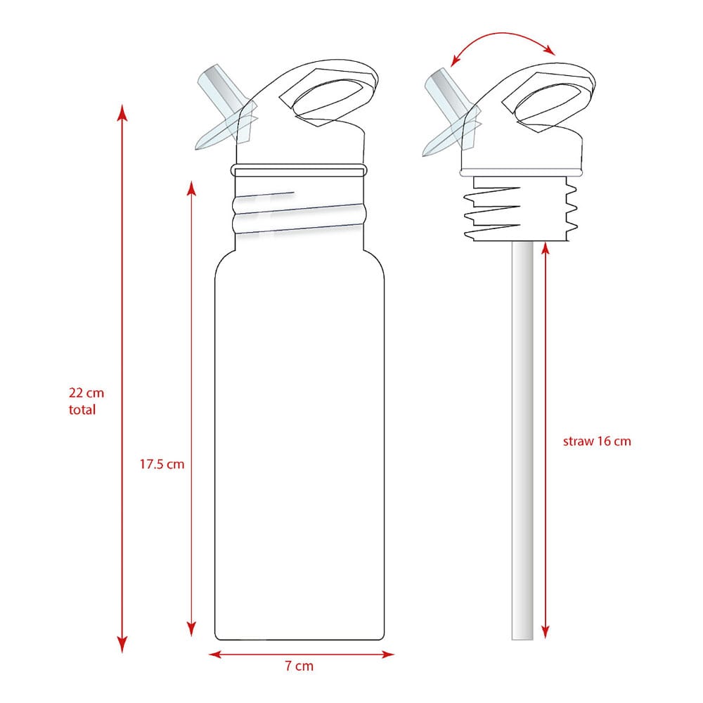 Spider-Man Water Bottle Spidey Take A Sip 500 ml