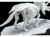 Limex - Dinosaur Skeleton Triceratops