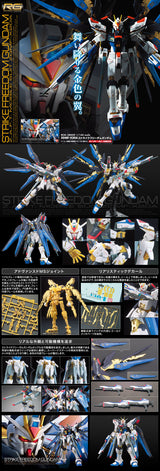 RG Strike Freedom Gundam 1/144